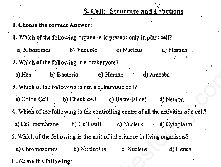 CBSE Class 8 Science Cell Structure and Functions Assignment